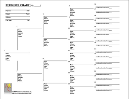 Free Pedigree Chart Genealogy Chart Pedigree Chart
