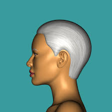 Tamara Head Morph for Genesis 8 Female