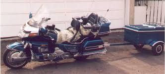 Image result for Pale Gold 1992 Motorcycle