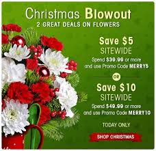 Flat 5 10 Off Sitewide Huge Savings Ends Today Online Gifts Fresh Flowers Online Flower Delivery