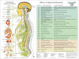 Ans And Effects Of Spinal Subluxation Chart 18 X 24