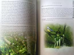 A La Rencontre Des Esprits De La Nature De Loan Miege Esprit De La Nature Livre Tarot Divinatoire