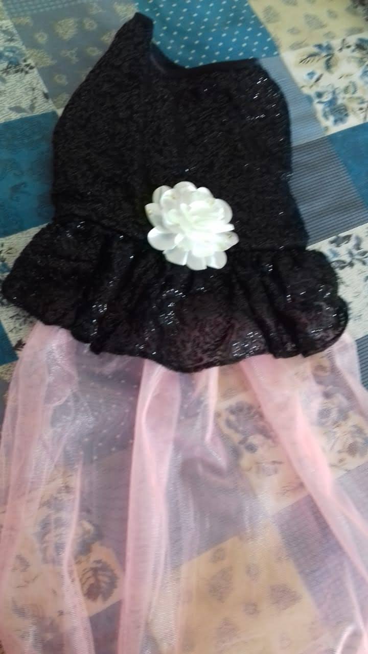 Party Wear Dress For Dog And Cat product image