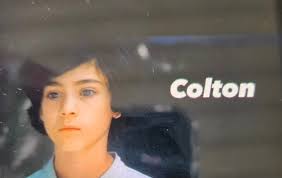 Colton's Time Travel and Knowledge of Jacob's Disappearance in The Way Home