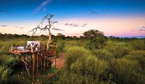 Lion sands game reserve offers you the opportunity to experience luxury safari at kruger national park and sabi sands game reserve. Lion Sands Private Game Reserve Lion Sands Safari Lodges
