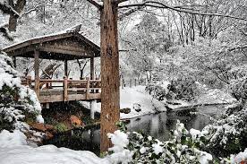 Snow Japanese Garden Fort Worth Texas Snowfall Winter Storm Pond Koi Lake Trees Flakes Tea House Pagoda Trails Tree Winter Storm Japanese Garden Winter Garden