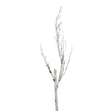 It can help to prevent tooth decay and gum disease. Decorative Branches Twigs Target