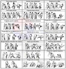 Proyecciones Basicas Hapkido Tecnicas De Artes Marciales Entrenamiento De Las Artes Marciales Entrenamiento De Artes Marciales