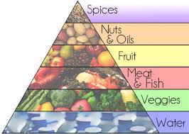 The Paleo Food Pyramid Ross Eathorne