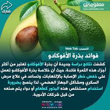 فوائد بذرة الأفوكادو Avocado Fruit Food