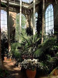 Cityhoppersgarden Glasshouse Experience At Botanic Gardens Edinburgh Scotland Photography By Cityhopper2 Glass House Botanical Gardens Garden Photography