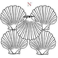 Disposition Coquille Saint Jacques Coquille Saint Jacques Coquille St Jacques Saint Jacques