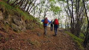 Some hiking apps come with preloaded trails so that you can easily find hikes near your location. 7 Best Off Road Map Apps For Android Trail Now Joyofandroid Com