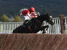 LIVE updates: The Showcase Meeting at Cheltenham Racecourse