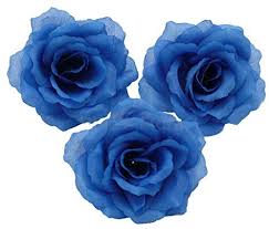 Since 1998, potomac floral wholesale, inc. Silk Flowers Wholesale 100 Artificial Silk Rose Heads Bulk Flowers 10cm For Flower Wall Kissing Balls Wedding Supplies Dark Blue Amazon Sg Home