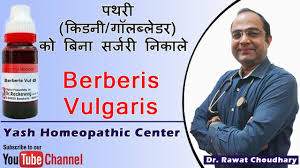 Uses Of Berberis Vulgaris In Kidney Stone Best Medicine For Kidney Stone Youtube
