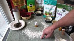 Slugs typically spend the winter as eggs in protected sites, like under plant debris, mulch, boards or in the soil. How To Effectively Use Crushed Eggshells Against Garden Snails And Slugs Trg 2014 Youtube