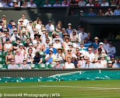 Check spelling or type a new query. Wimbledon Decreases Prize Money By 5 2 Champions Bear The Hardest Hit Women S Tennis Blog