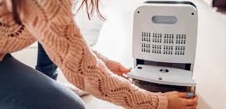 How to clean out humidifier. How To Properly Clean A Humidifier Molekule Blog