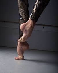 Grishko Balletholic Dancers Feet Dancer Dance Photography