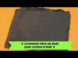 Epingle Sur Animaux Co