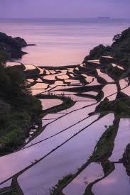 しふぉん on twitter scenes outdoor beautiful world