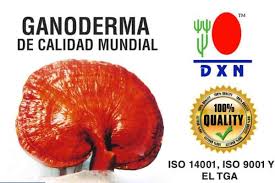 Resultado de imagen para ganoderma lucidum