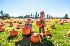 Fall Festival