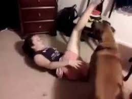 Kopege Am Yalatma 3gp Mp4 Mp3 Flv Indir
