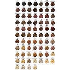 Hair Color Chart Loreal Hair Color Chart Loreal Hair Color