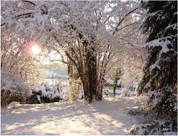 Une tempête de neige est un phénomène météorologique produit par une dépression météorologique hivernale importante. Noel A La Neige Maman Voyage