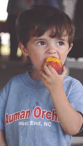 Darr presents paving plan