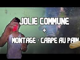 Hd Peche Carpe Au Pain Montage 2 Youtube