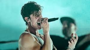 Los universales — señorita 04:01. Shawn Mendes Live In Concert Netflix Official Site