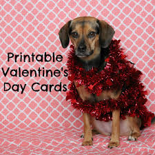 With so many brilliant options to choose from, you're sure to find the. Printable Valentine S Day Cards For Dogs And Dog Lovers