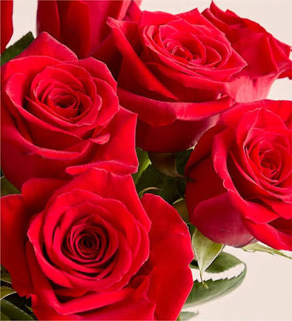 Full of Love Red Roses, 12 Stems
