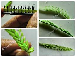 Once you like quilling, you are sure to get hooked on to it because of the sheer possibilities of quilled items i have compiled a list of quilling tutorials and techniques both from my blog as well as from around the crafting blogosphere. Anastasia Annie Wahalatantiri Quilling Ideas For A Sprig Of Leaves Useing A Comb Quilling Comb Quilling Paper Quilling