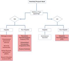 The tetrad of purpura, arthritis, kidney inflammation, and abdominal pain is often observed. Rash Decisions An Approach To Dangerous Rashes Based On Morphology Sciencedirect