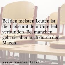 Stilblute Uber Die Liebe In 2020 Aufsatz Lustige Spruche Spruche