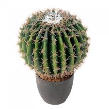 Mini jardin de boutures de cactus décoratif, en tissus recyclés et dans un pot rose récupéré. Cactus Artificiel Echino Faux Cactus Haut De Gamme Viva Verde