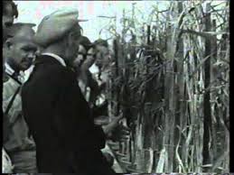 Sharing pics and vids of the lovely renata daninsky. Trofim Lysenko At The Agricultural Exhibit 1939 Youtube