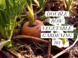 Cooler weather crops such as lettuce and hi susan, i have a chosen your post vegetable gardening 101 for one of my feature posts on real food fridays blog hop. Double Row Vegetable Gardening 101 Gardening Channel
