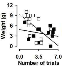 How to generate multiple line regressions in GraphPad?