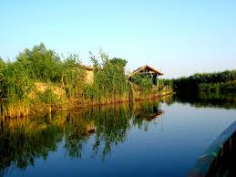 În delta dunării sunt întâlnite 30 de habitate protejate la nivel european, dintre care 8 sunt strict protejate, unele dintre acestea fiind întâlnite doar delta are o biodiversitate uimitoare, aproape 5 500 de specii, dintre care 1839 de plante. Curiozitati Despre Delta Dunarii Cool Stuff Kiss Fm