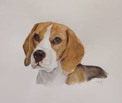 Beagle Hound Painting Beagle Art Dog Drawing Simple Dog Paintings