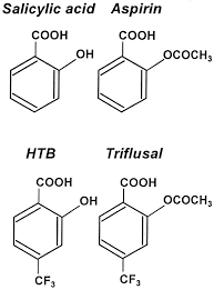 Images For Aspirin Molecular Structure Molecular Structure Molecular Chemistry