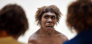 Halk arasında en çok bilinen, gerek ortaya çıkış biçimi, gerekse yeryüzünden kayboluşu konusunda da en fazla tartışılan tarih öncesi atamızdır. Comment L Adn De Neandertal Influe Sur Notre Sante Sciences Et Avenir