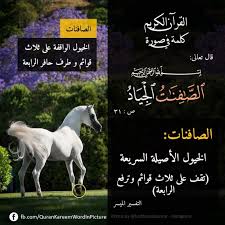 الص افنات وحيدة في ص ٣١ الجياد وحيدة في نفس الآية الصافنات الجياد الخيول الواقفة على ثلاث قوائم وطرف حافر الر in 2021 quran verses quran tafseer holy quran