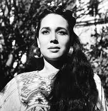 Vinculación con empresas de ines olano prieto. Flor Silvestre Wikipedia La Enciclopedia Libre