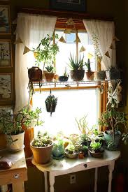 Kitchen Windows Tables And Plants Just Seem To Go Together Plants Room With Plants Plant Decor